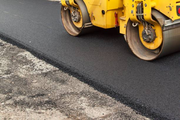 Best Professional Driveway Pavers  in Lake City, FL