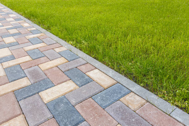 Best Decorative Driveway Pavers  in Lake City, FL